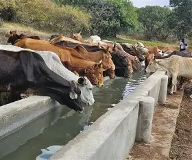  fresh drinking water area