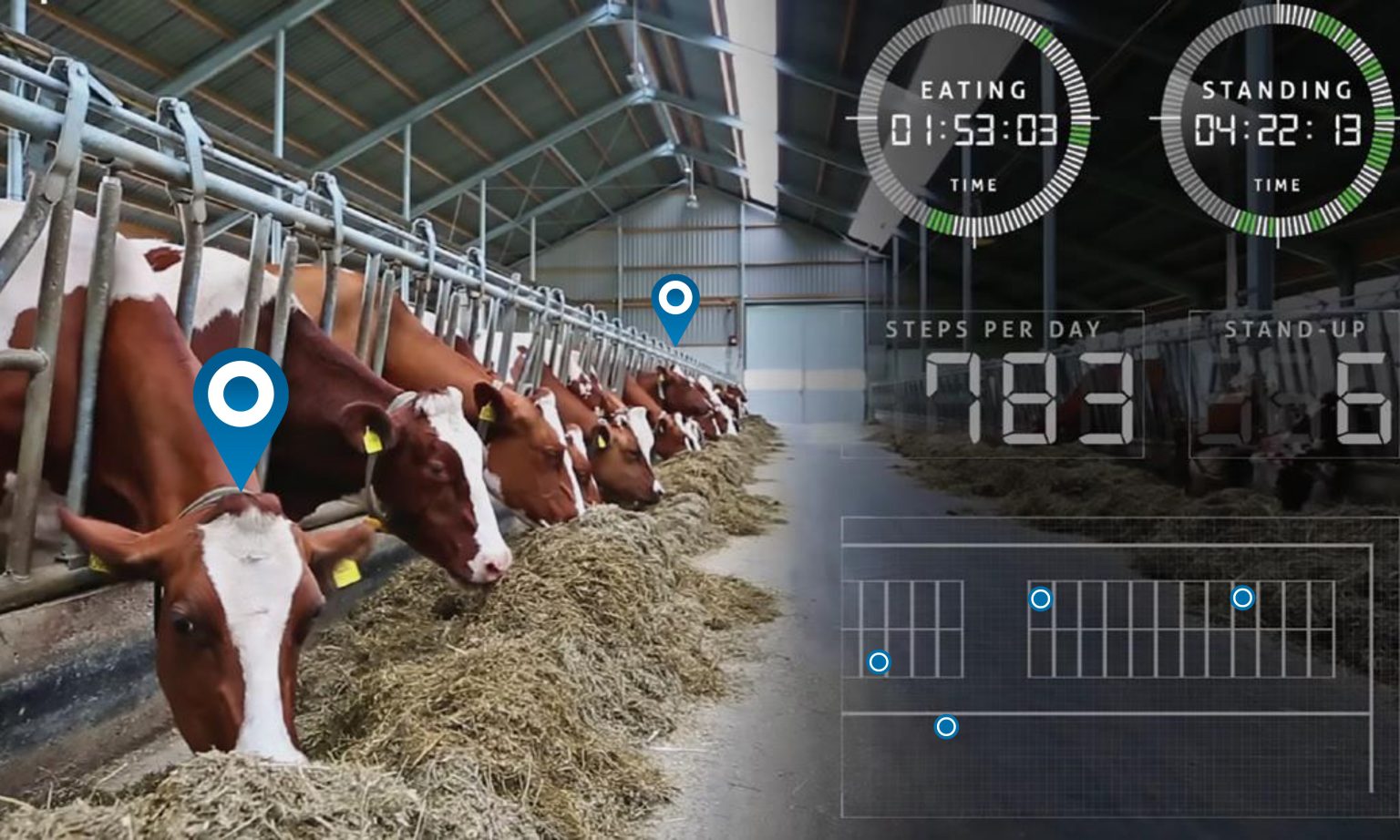  feed storage facility